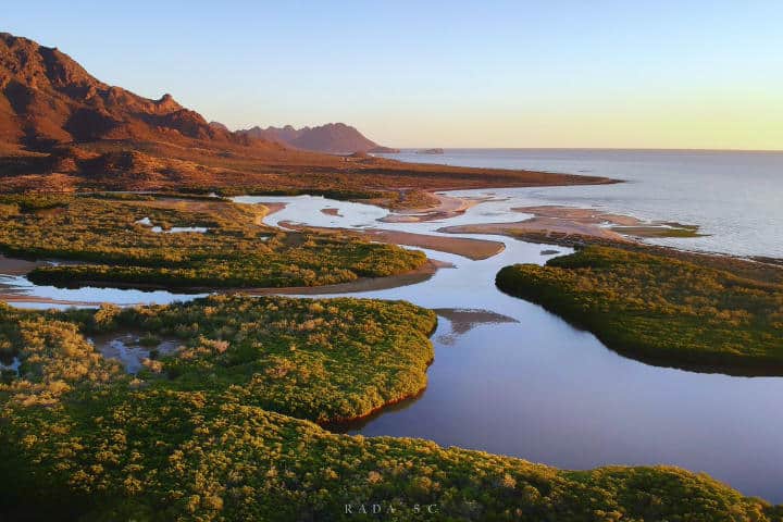 Sonora — Mar de Cortés